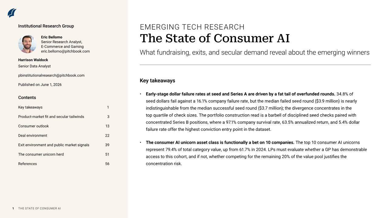 First page of PitchBook: The State of Consumer AI, the asset class is a bet on 10 companies